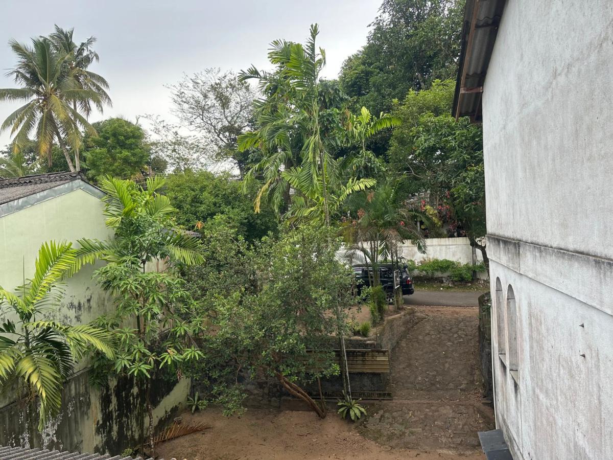 Mango Tree Budget Home Stay Homagama Экстерьер фото